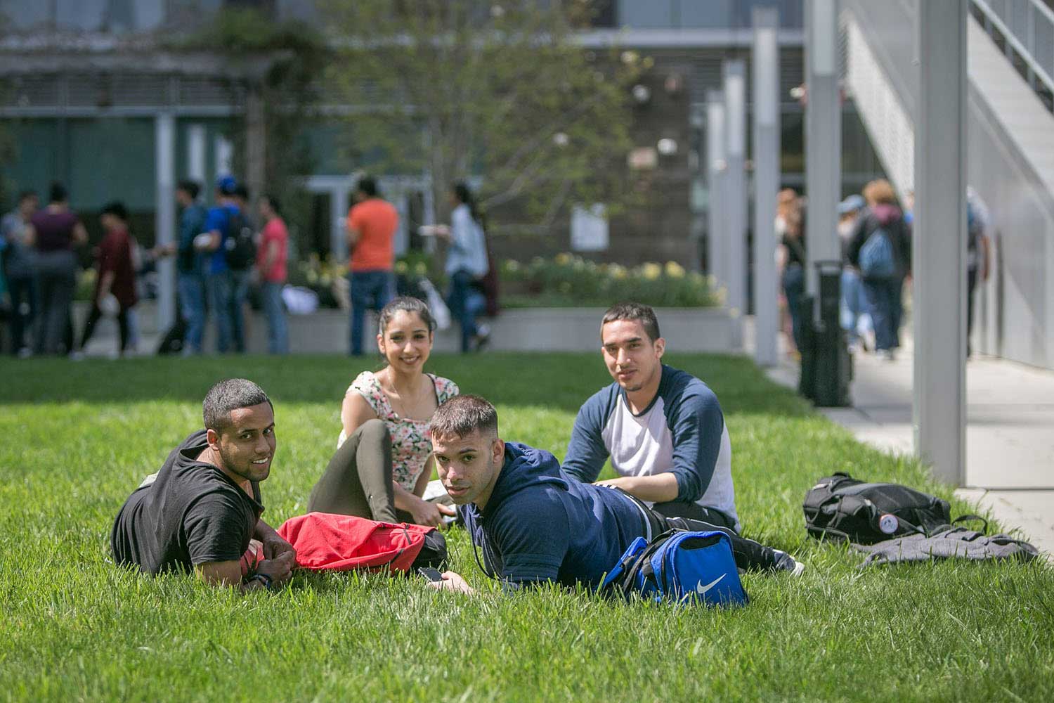 Group of students sitting on a lawn