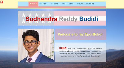 Professional ePortfolio Sudhendra Budidi