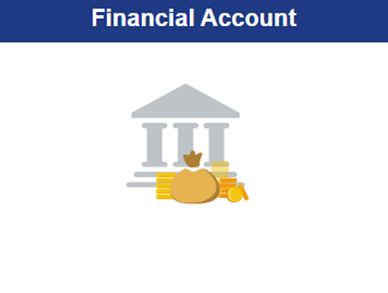 Financial Account Tab for Balance Amount