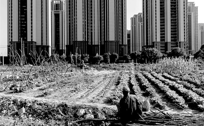 Black and white image of a farmer tending to crops in the foreground, with towering modern high-rise buildings in the background, symbolizing class inequality and urban-rural contrast.