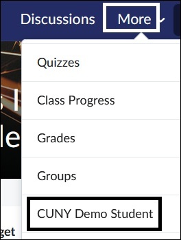 Select More on the Course Navbar. Select CUNY Demo Student.
