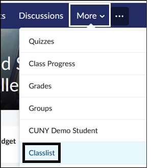 Select More on the Course navbar. Select Classlist. 