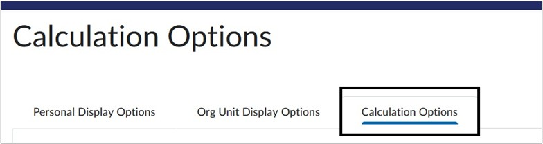Image of Calculation Options tab. 