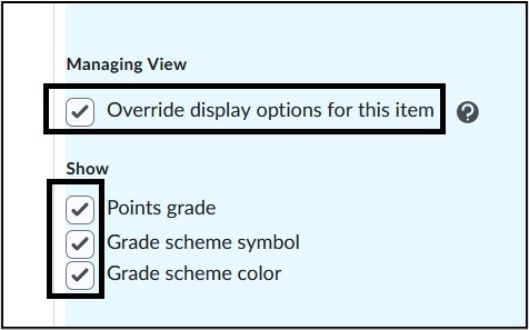 Image of Instructor View. 