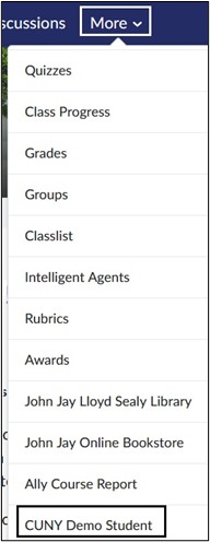 Image of CUNY Demo Student Link