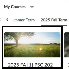 Image of My Courses Widget.