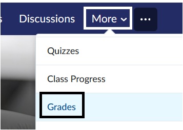 Image of More on the Course Navbar and Grades link in drop-down menu. 