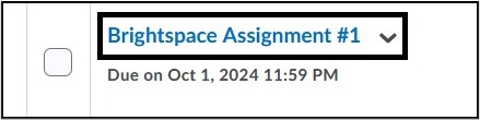 Image of Assignment Name Link. 