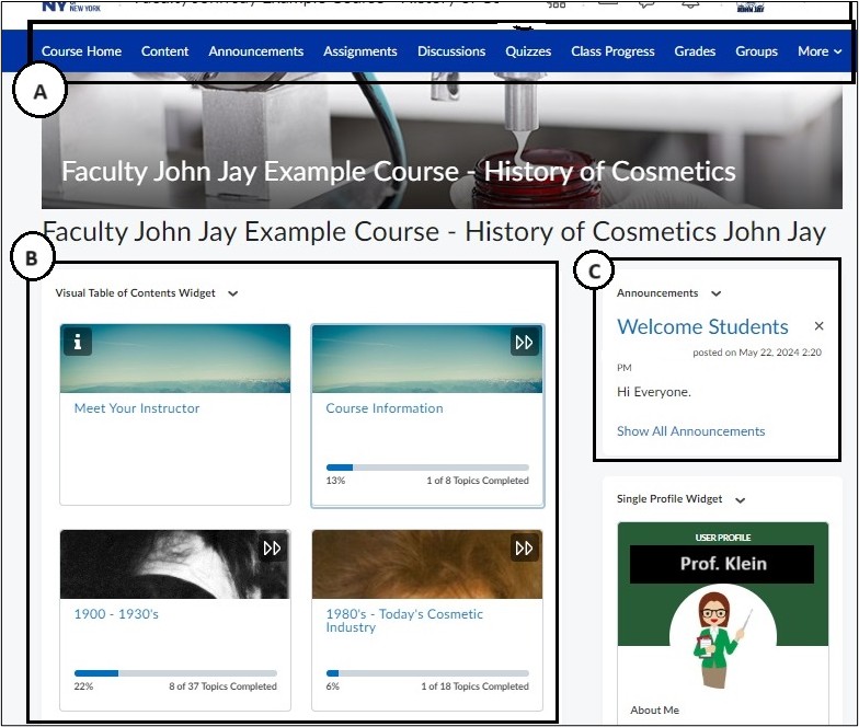Image of Course Home page. 