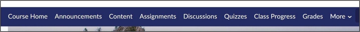 Image of Course Navbar.