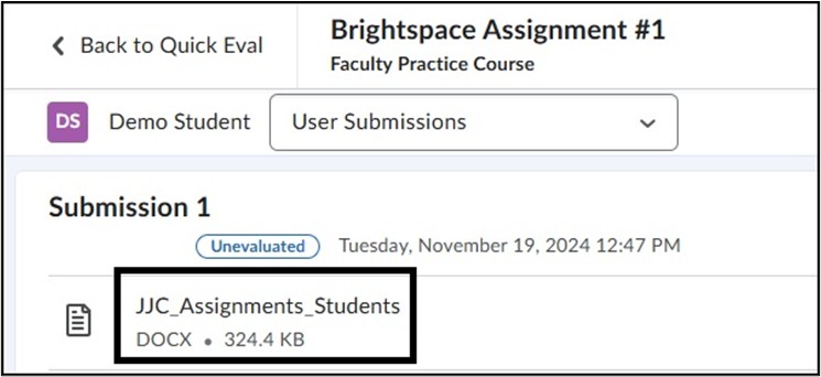 Image of Quick Eval Student Submission. 