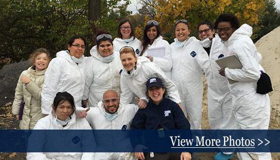 View photos of the Central Park Dig