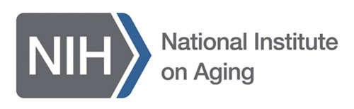 National Institute on Aging logo