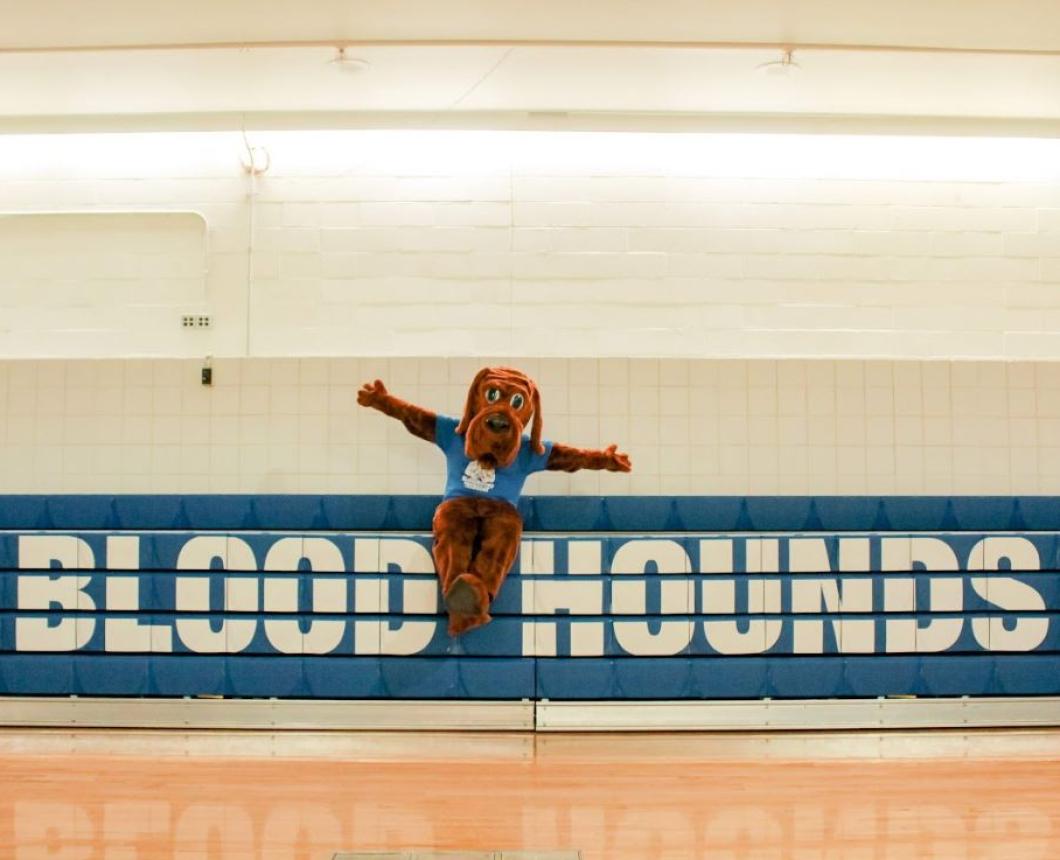 The John Jay Bloodhound sitting on the bleachers.