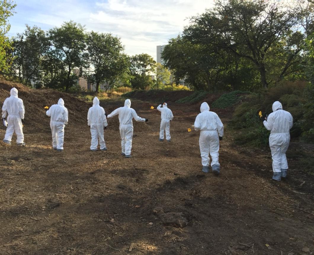 FOS 761 students in a field mock crime scene exercise in Central Park