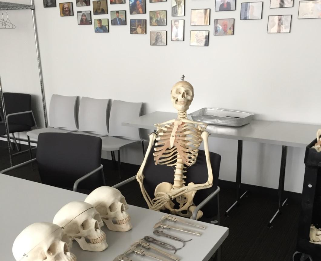 Classroom with material for Forensic Anthropology class, including a full skeleton and 3 skulls