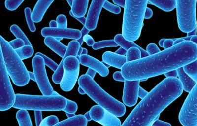 Microbes image for this article